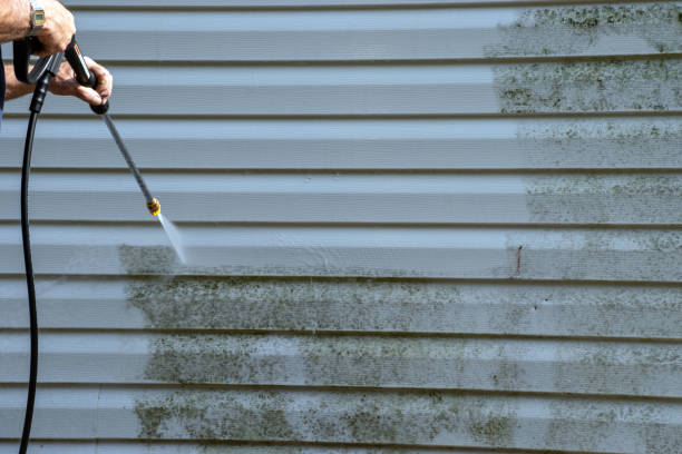 Demolition Debris Removal in Dothan, AL